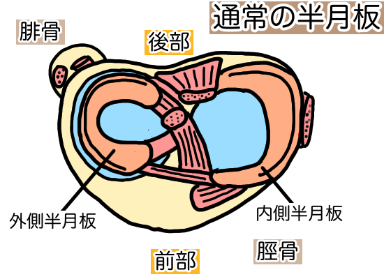 画像の説明