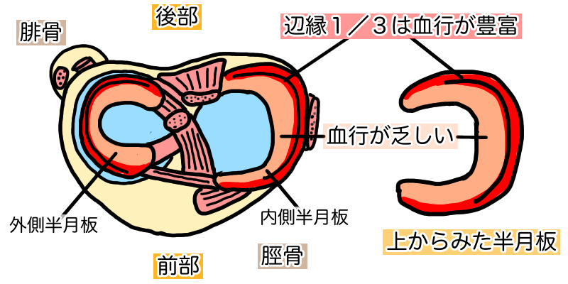 画像の説明