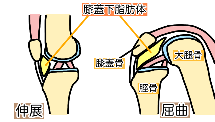 画像の説明