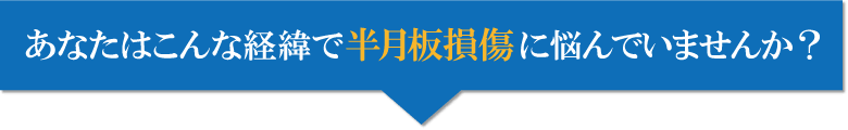 半月板損傷サイト‐経緯【ＰＣサイズ】